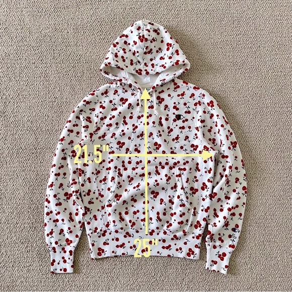 Champion + HVN for Urban Outfitters Cheery Hoodie Sweatshirt, S - Picture 4 of 16